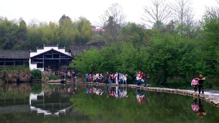 P1010848.jpg