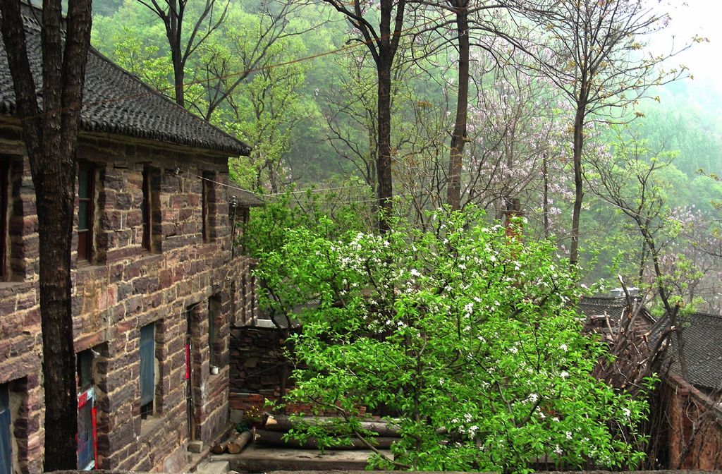 DSCN5705.JPG