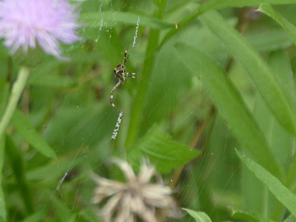 DSC_3510.jpg