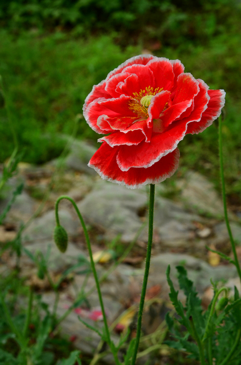 YHA_5829.jpg