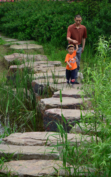 YHA_5844.jpg