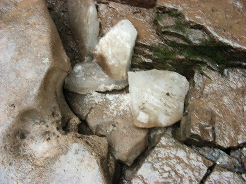DSCN5747.JPG