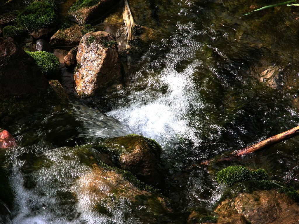 DSCN5778.JPG
