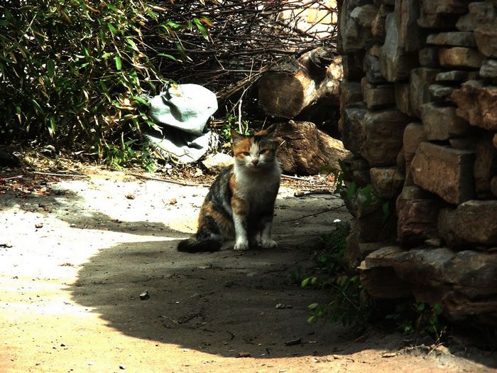 DSCN5818.JPG
