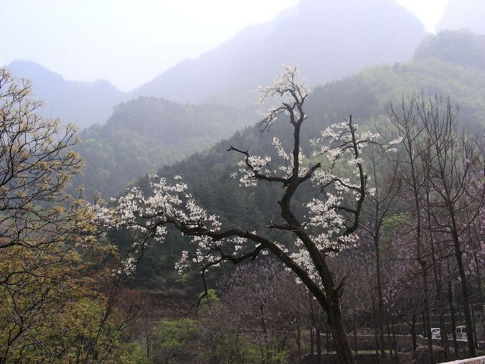 DSCN5852.JPG