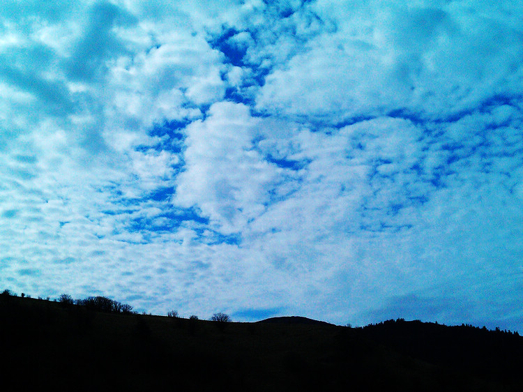 IMAG0306.jpg