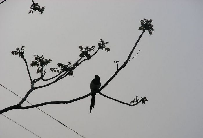 DSCN5911.JPG