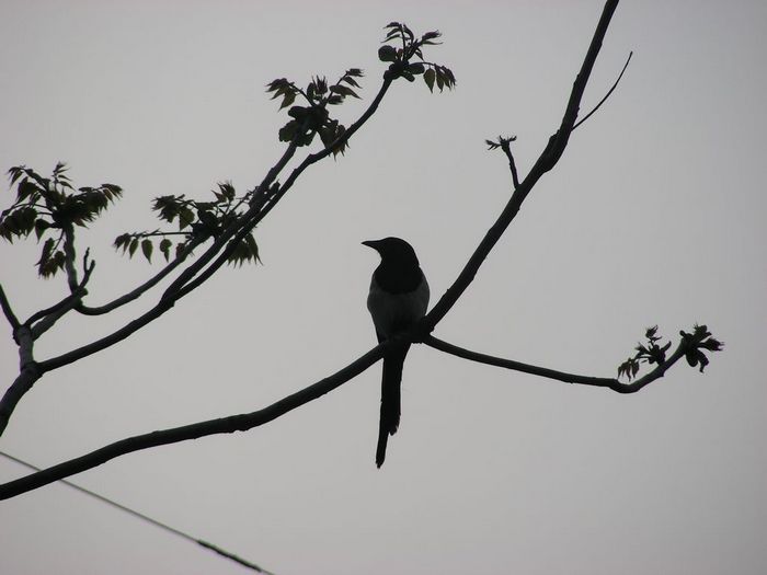 DSCN5912.JPG