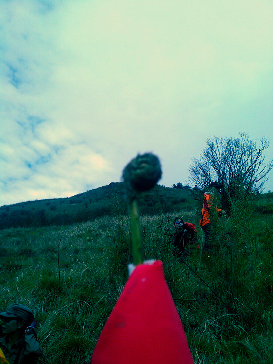 IMAG0329.jpg