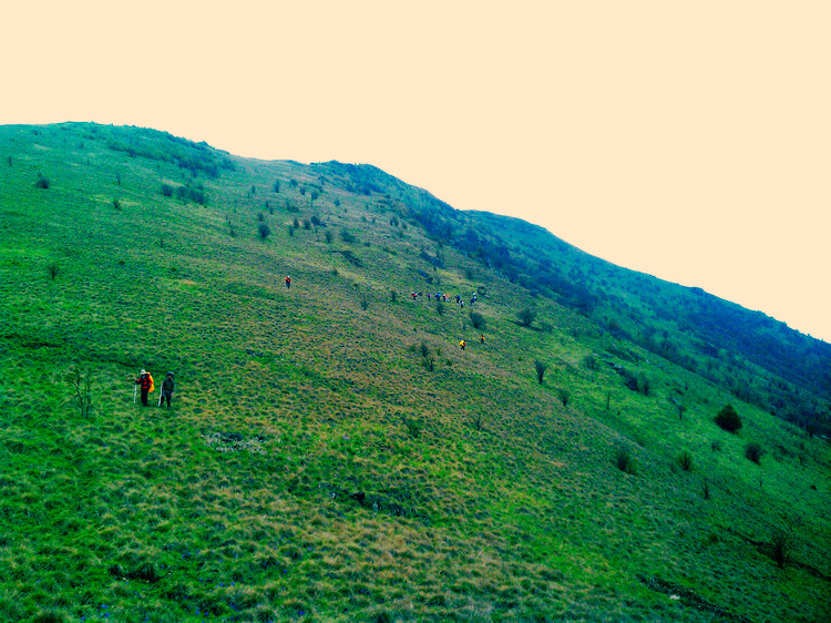 IMAG0355.jpg