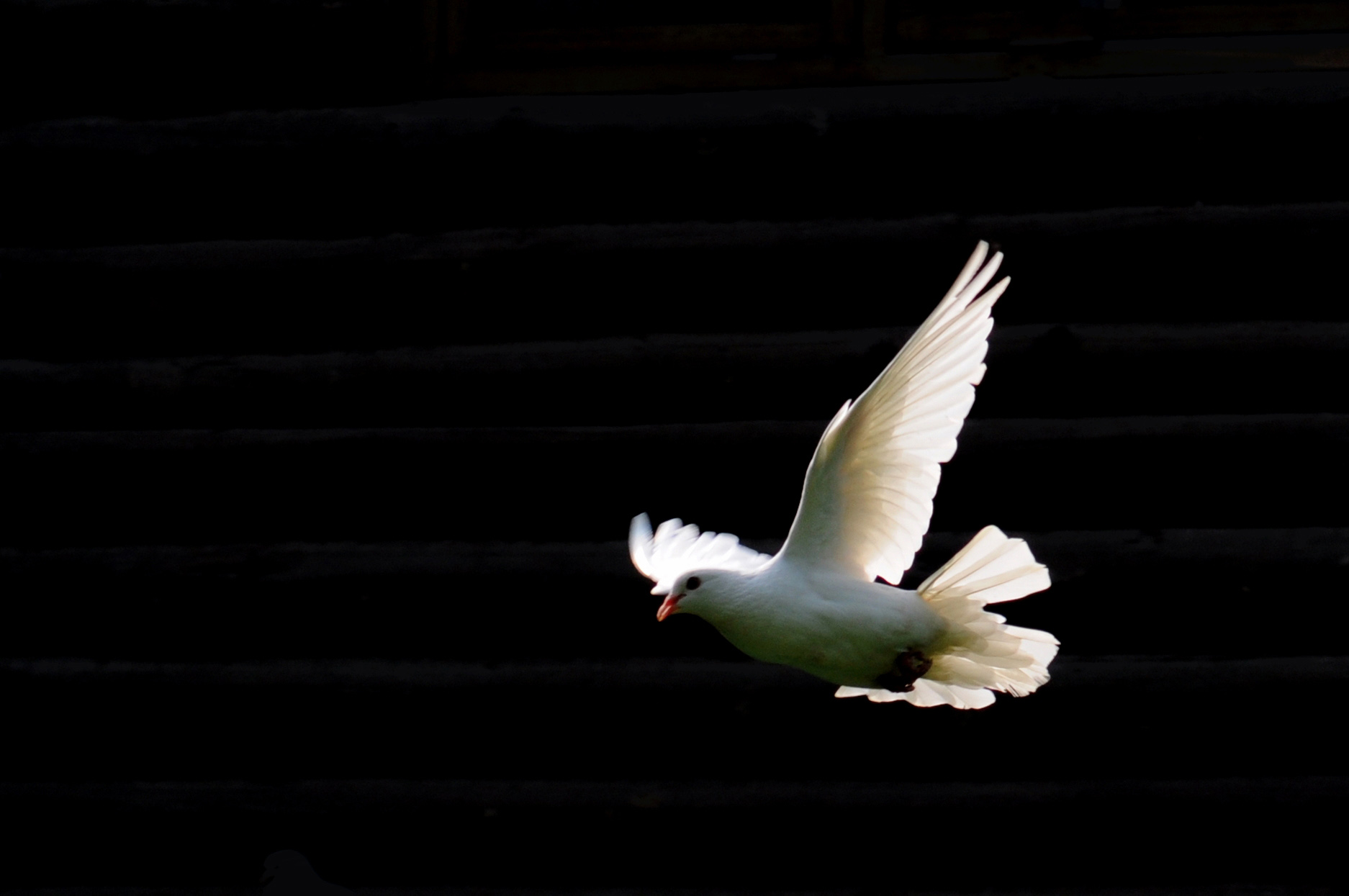 Ƭ 010.jpg