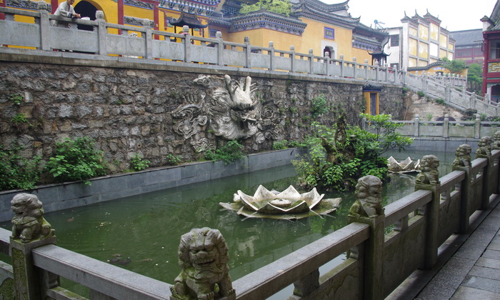 IMGP0727.JPG