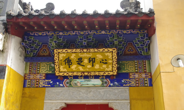 IMGP0781.JPG
