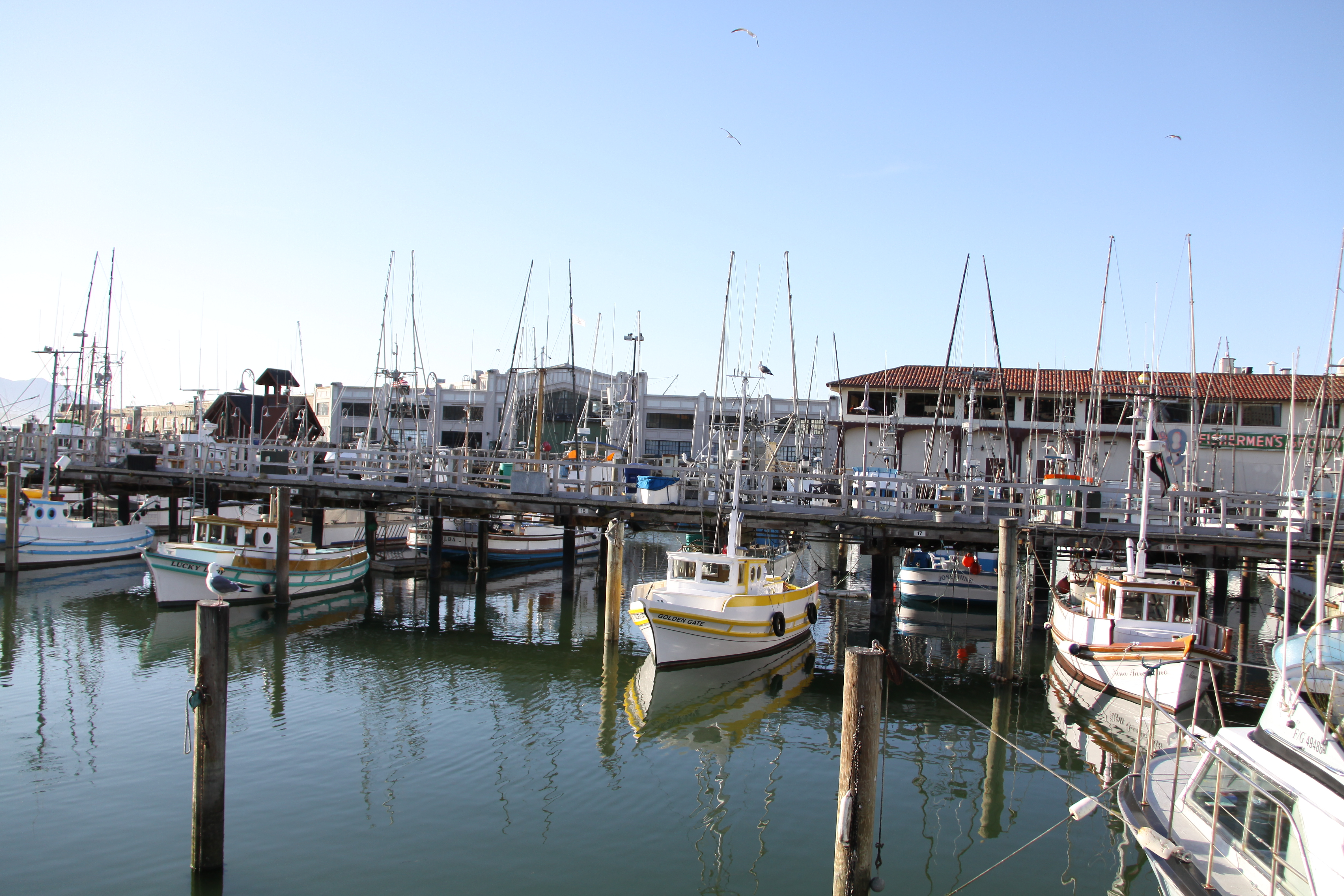 IMG_5761.JPG