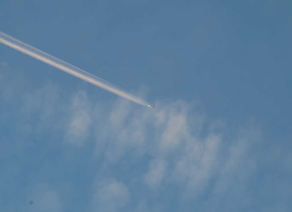 DSC_4184.jpg