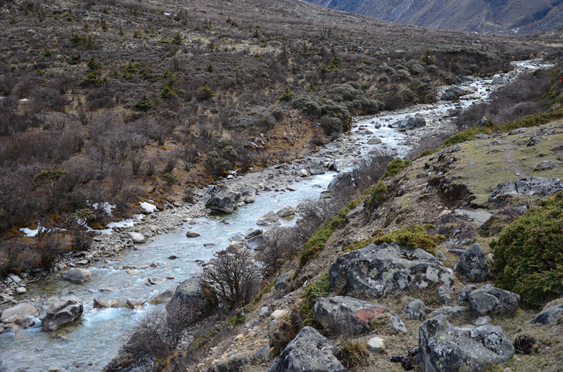DSC_0350.JPG