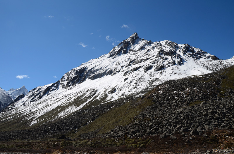 DSC_0431.JPG