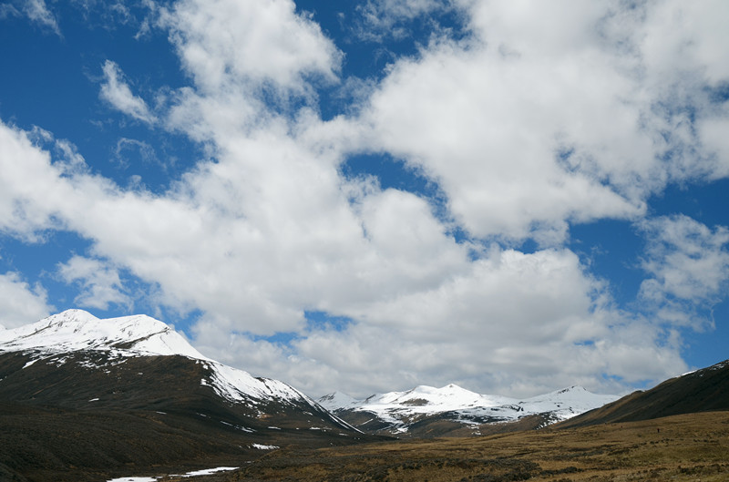 DSC_0489.JPG