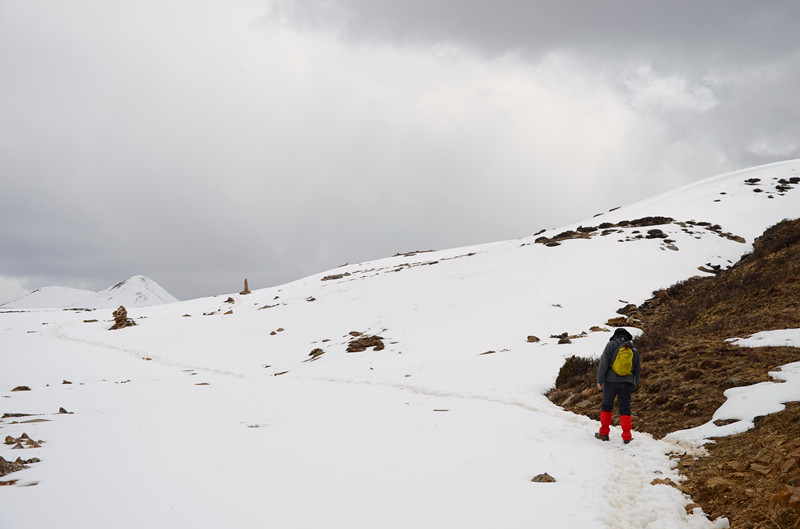 DSC_0513.JPG