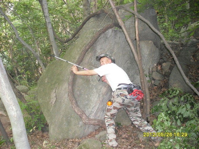 psbCANBV8O3.jpg