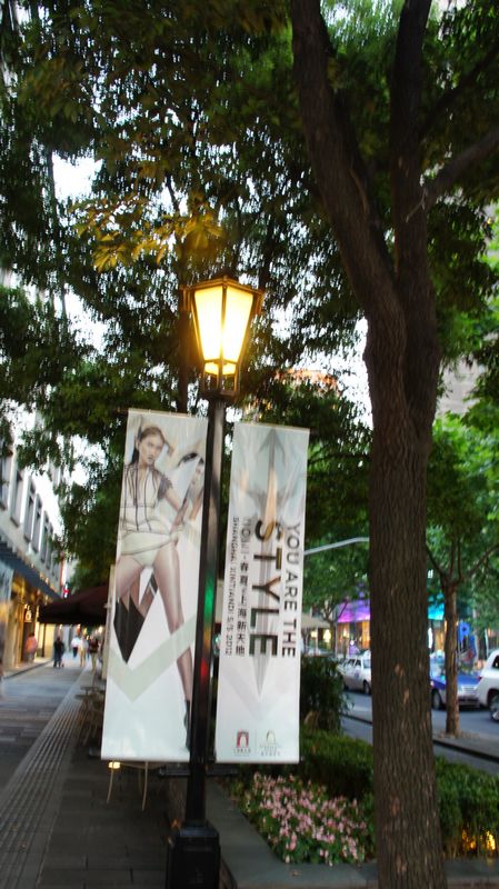 DSC05601.jpg