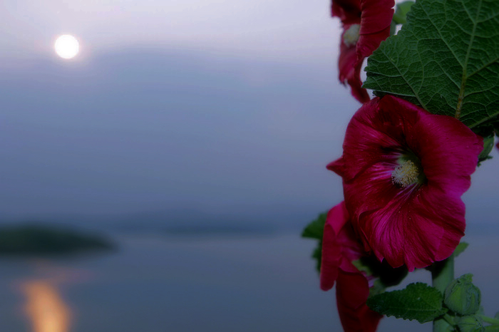 nEO_IMG__MG_0020.jpg