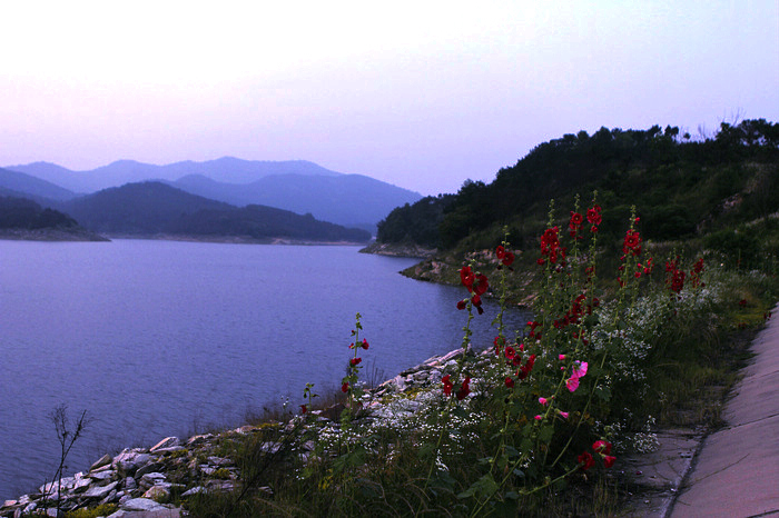 nEO_IMG__MG_0045.jpg