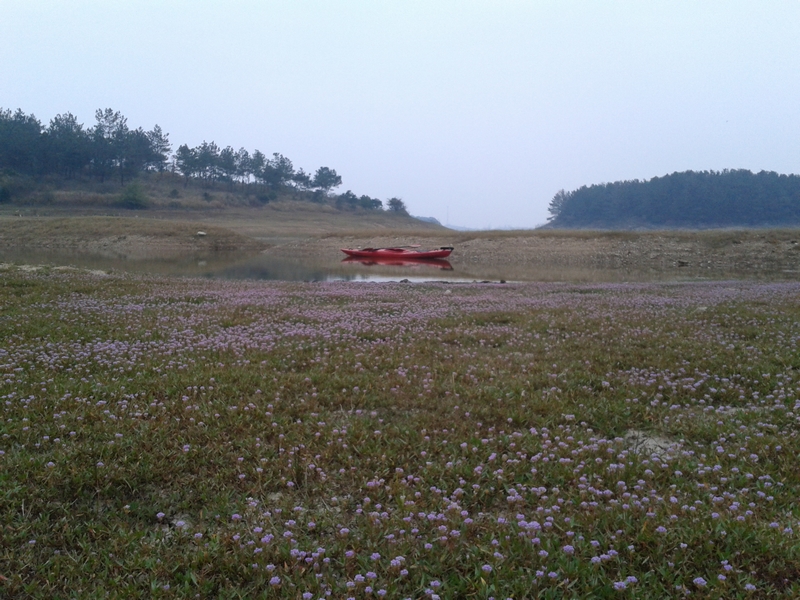 2011-10-22 16.04.23.jpg