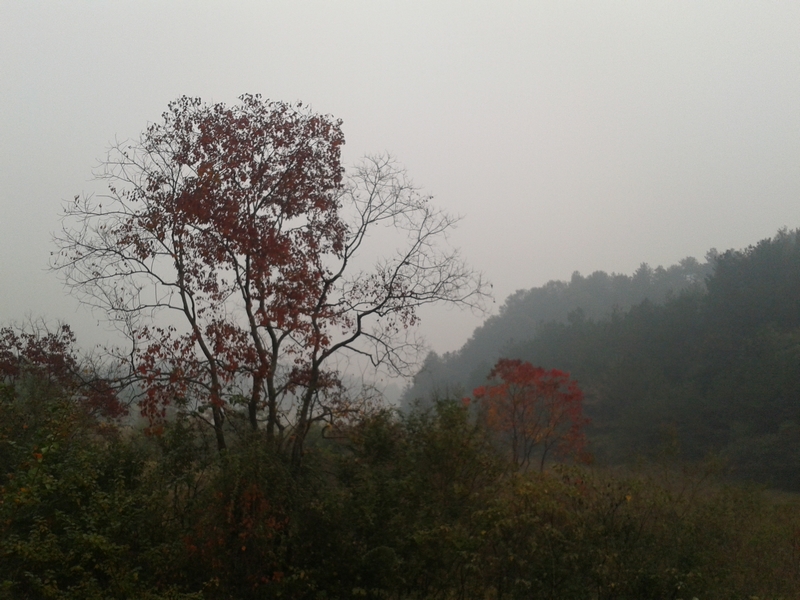 2011-10-23 09.36.18.jpg