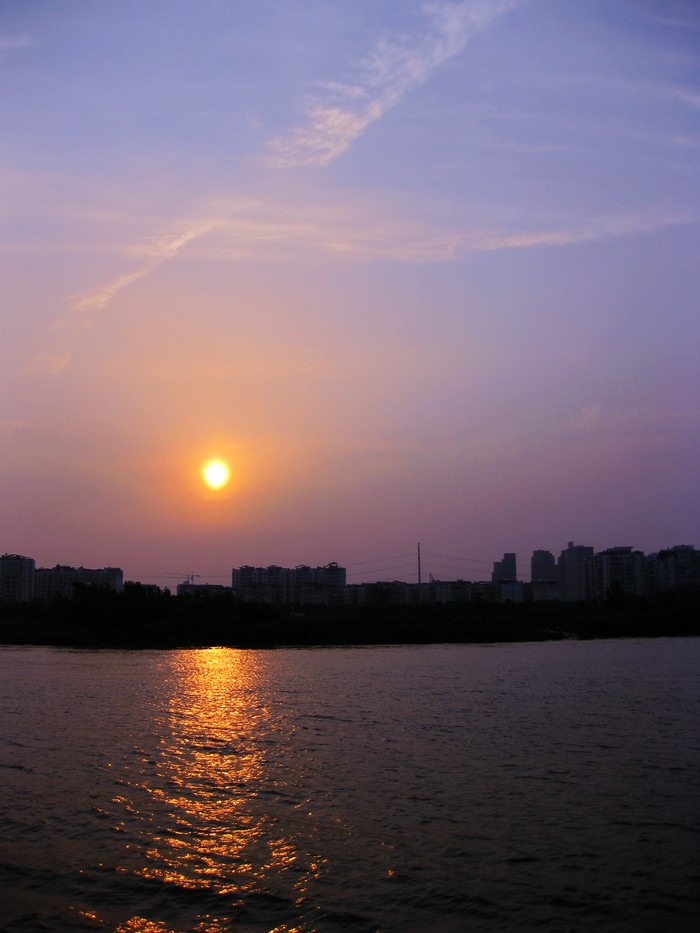 IMG_2514.jpg