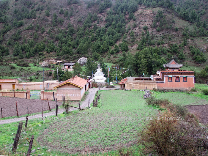 DSCF6557.JPG