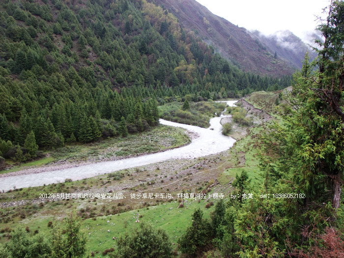 DSCF6550.JPG