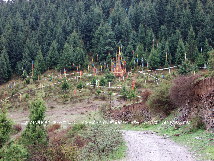 DSCF6551.JPG
