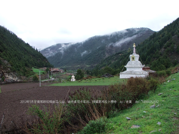 DSCF6556.JPG
