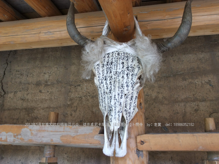 DSCF6558.JPG
