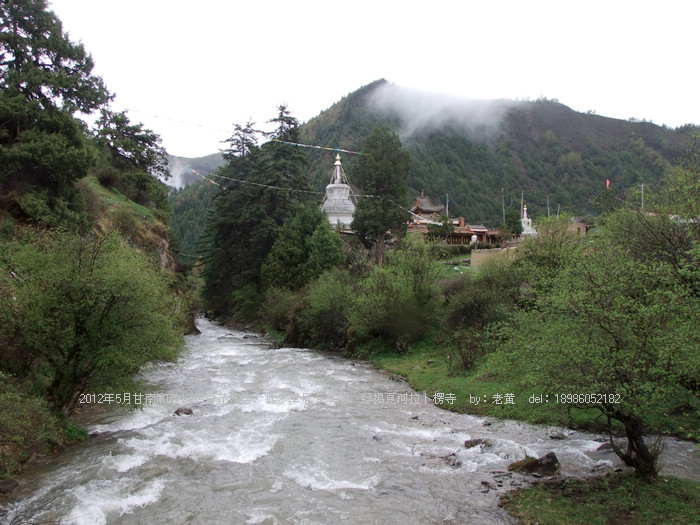 DSCF6565.JPG