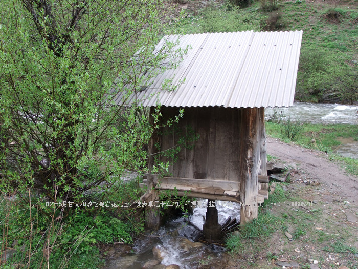 DSCF6564.JPG