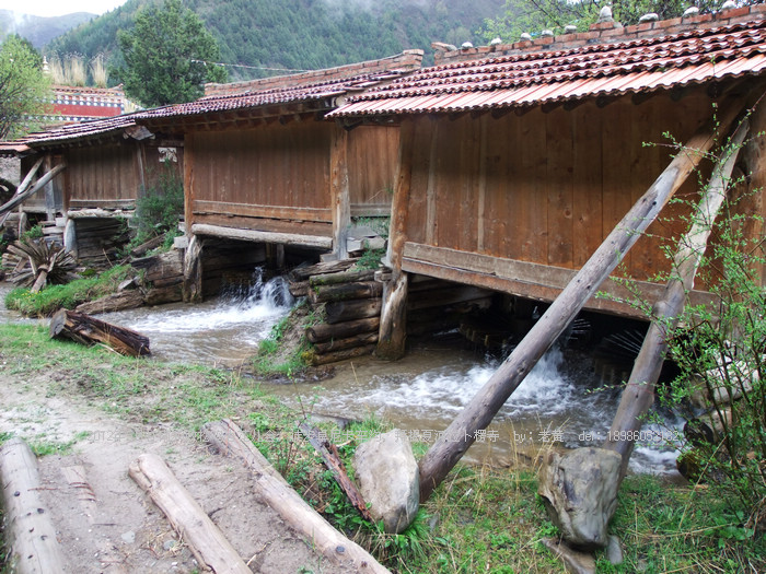 DSCF6569.JPG