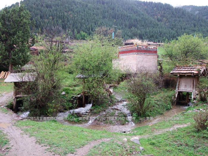 DSCF6567.JPG