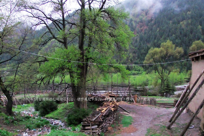 DSCF6630.JPG