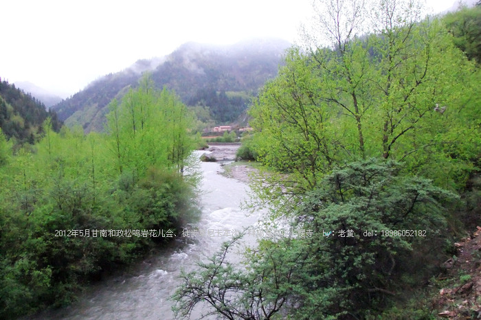 DSCF6640.JPG
