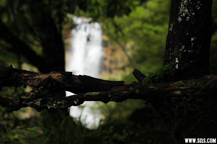 nEO_IMG__MG_0171.jpg
