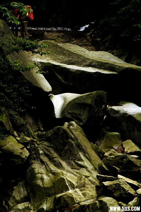 nEO_IMG__MG_0071.jpg