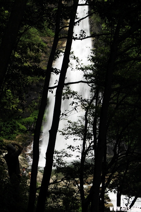 nEO_IMG__MG_0100.jpg