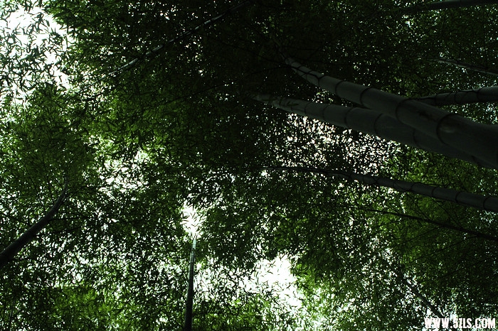 nEO_IMG__MG_0240.jpg
