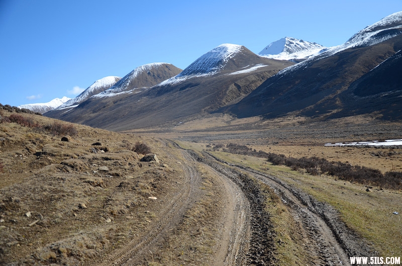 DSC_0603.JPG