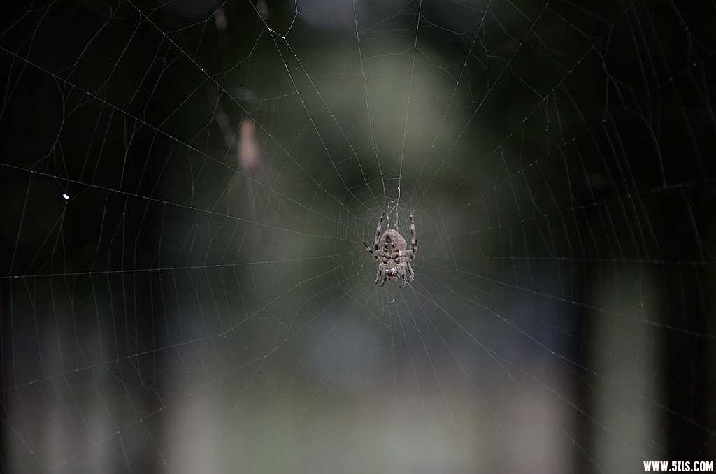 DSC_4496.jpg