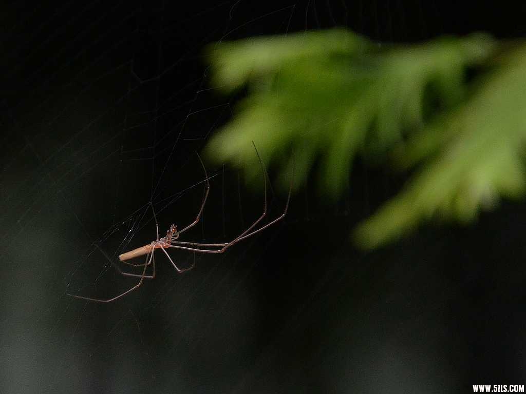 DSC_4495.jpg