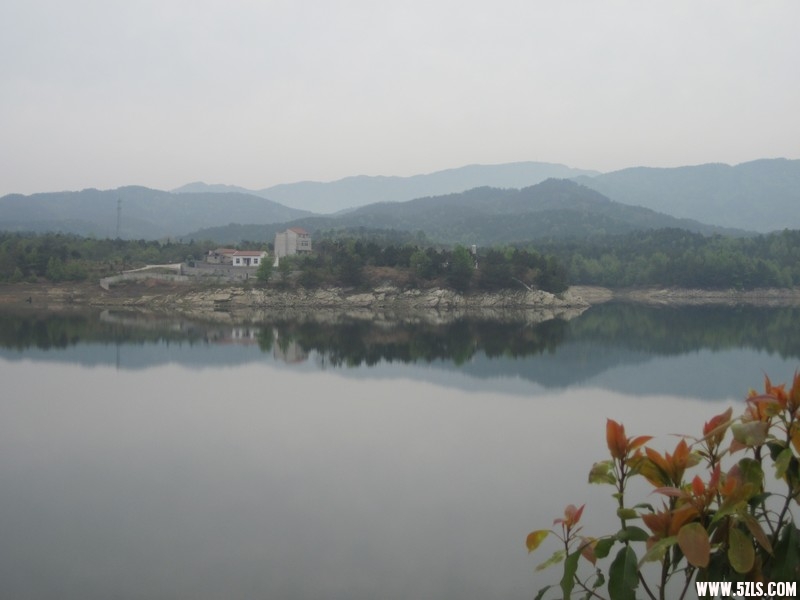IMG_1253.jpg